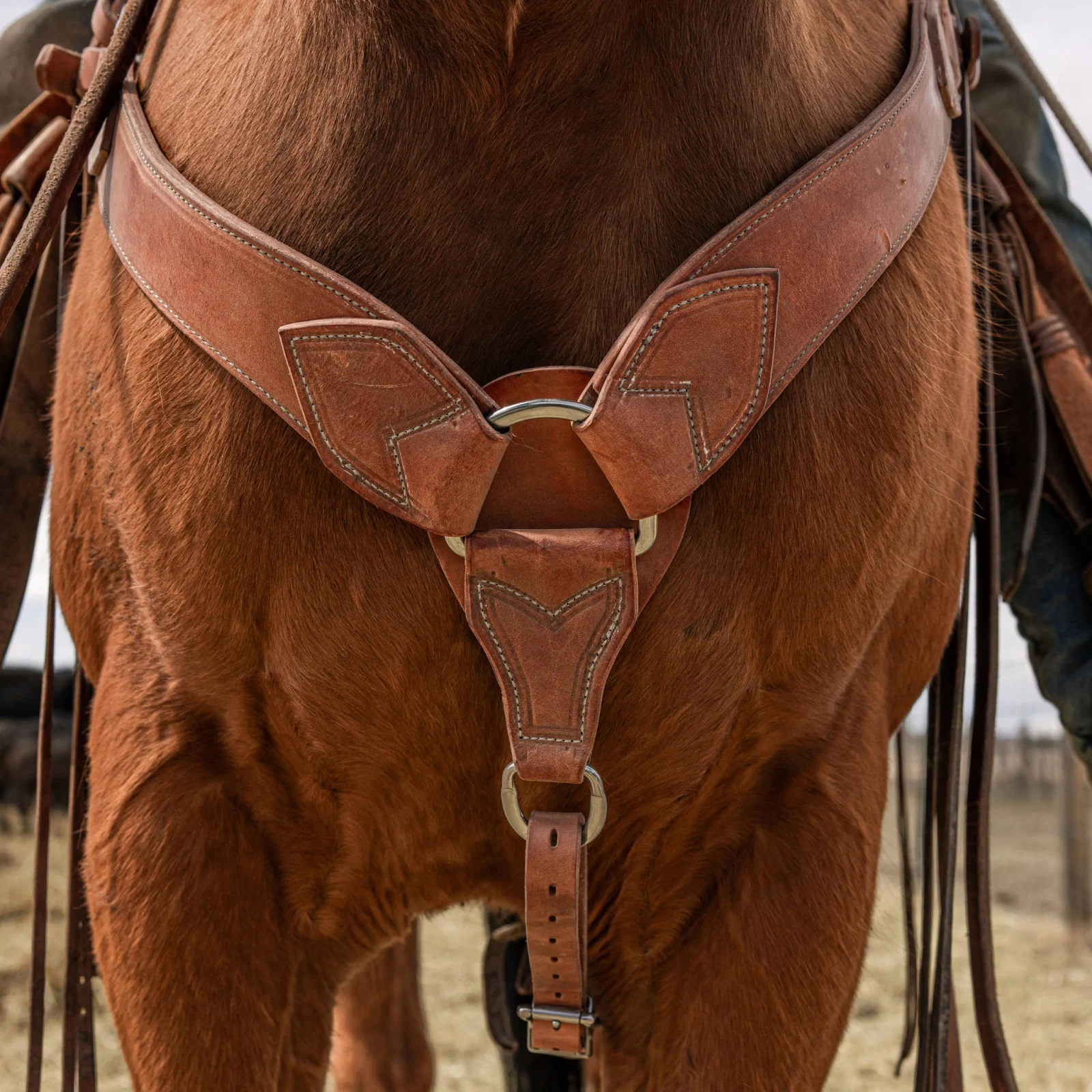 Hermann Oak Harness Leather Roper Breast Collar - Image 2