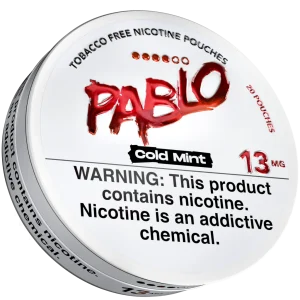 Pablo Cold Mint Nicotine Pouches (5 Pack)