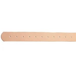 Pre-Punched Stirrup Leathers, Vertical, 3" x 5' 6"